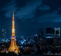 やっぱり東京と言えば東京タワーですね〜！！