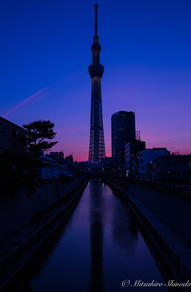 東京スカイツリーの夕陽
