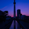 東京スカイツリーの夕陽