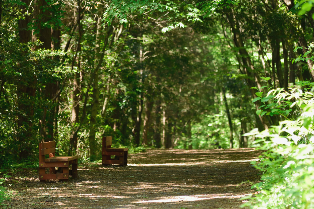 2016.05.智光山公園