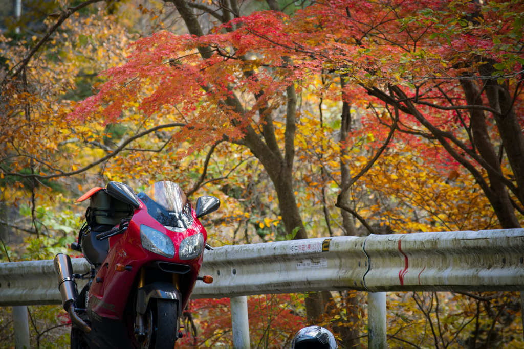 2017奥多摩紅葉狩り