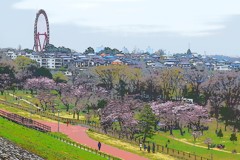 おまけの機能