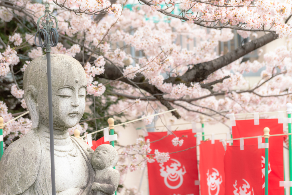 桜の季節−２