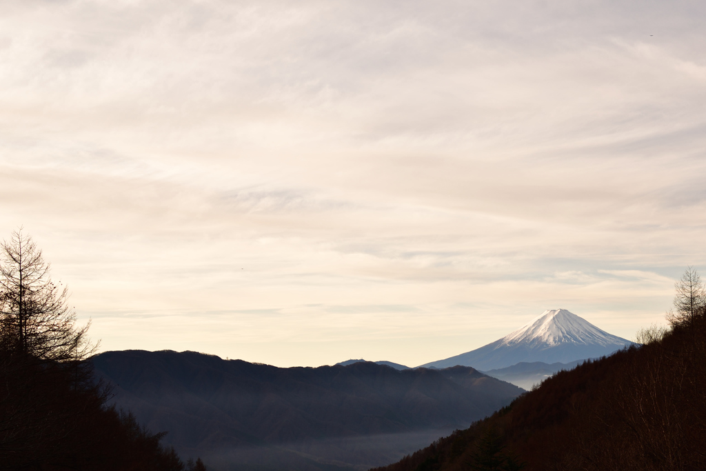 柳沢峠