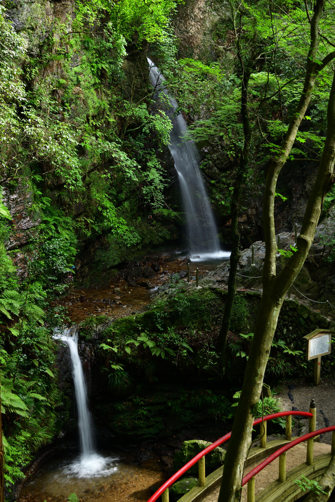 黒山三滝　男滝　女滝