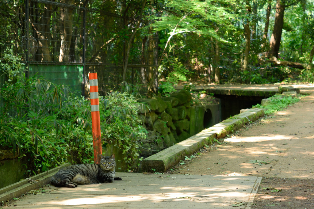 2016.05.智光山公園