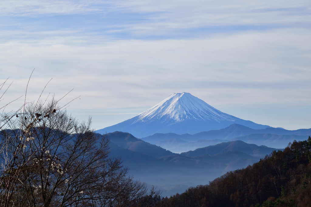 柳沢峠付近