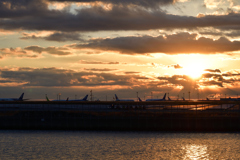 京浜島つばさ公園　明けの空