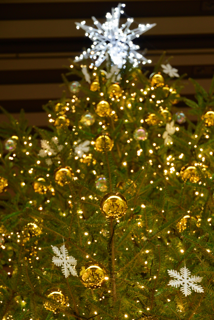 クリスマスタイム_02