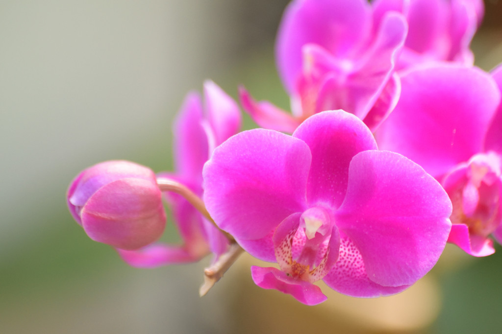2016.05.　智光山公園