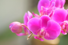 2016.05.　智光山公園