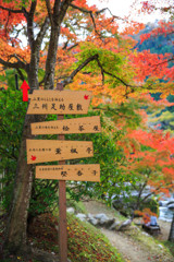 園内案内
