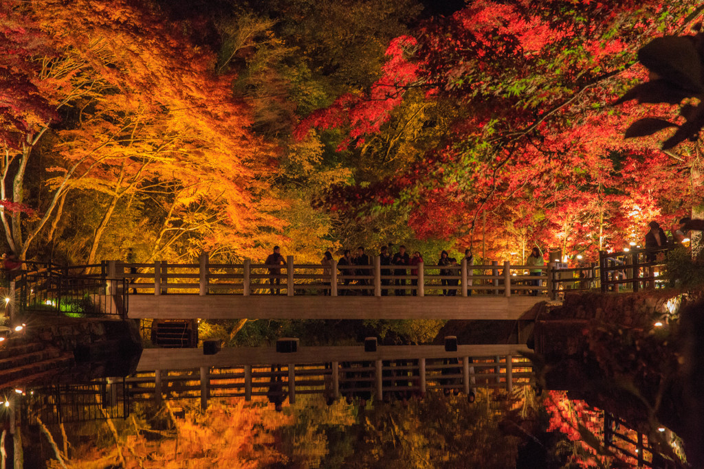 紅葉