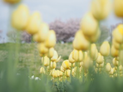 B0C57548-E4B3-4A6A-85C6-DEB64B4B6B17