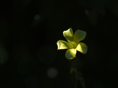 EEC85718-76A7-499D-8BB7-DB7D7516D936