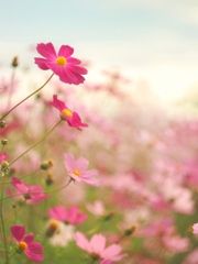 188EB37B-16CD-43CA-91CB-08C59BB95061