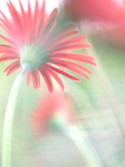 2610B6BF-996E-46CC-BCC1-727F8E5192B9
