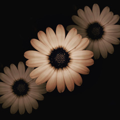9F428247-CCAA-441A-94B2-FB72B316A0CE