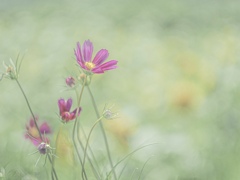 77254C84-CF35-4E27-8CB9-C2C103D7995F