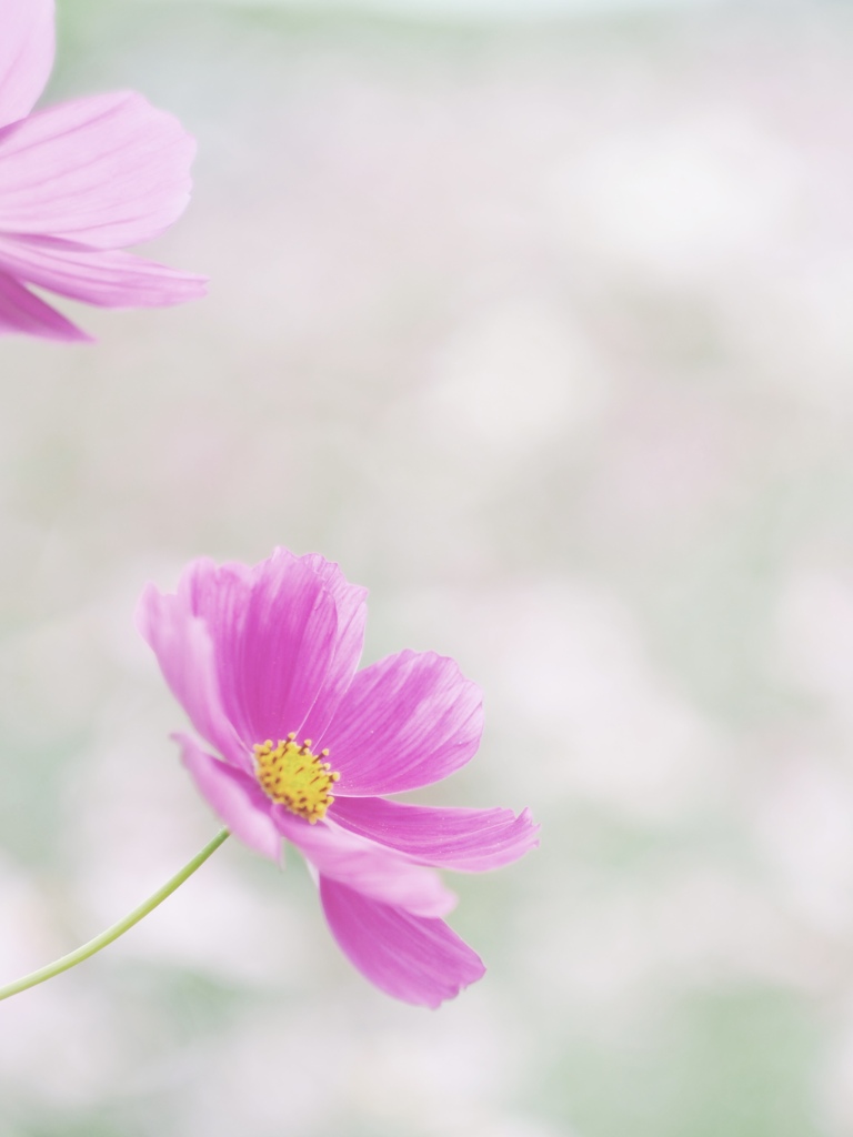 FF06F8D7-D293-4B0B-A2D8-06B446763177