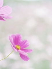 FF06F8D7-D293-4B0B-A2D8-06B446763177