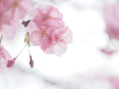 6B3D52A2-07BA-47A6-A51C-0E3FA0262FDE