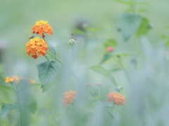 1F58D41A-9B06-47B1-8649-F6DC5E5D4B42