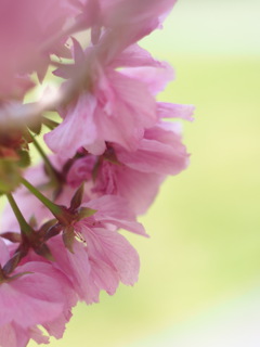 505ACF4F-D488-436C-BFC9-3309072623D9