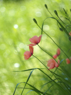 FA5AE199-B4C2-4461-9035-5C3D39C5A6F0