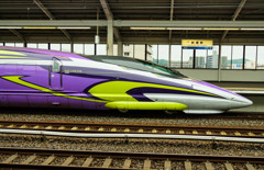 EVA 500