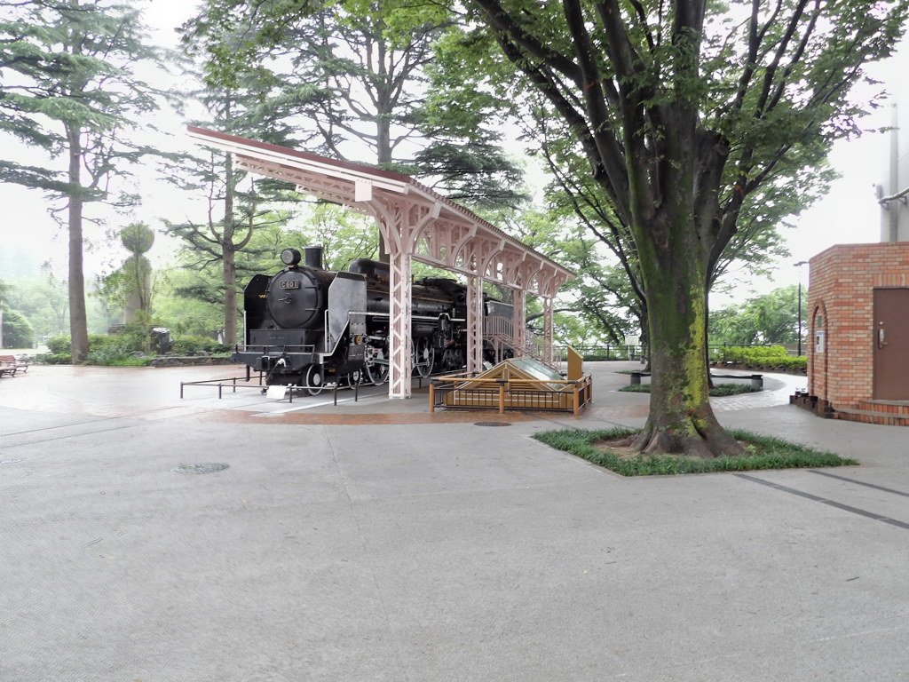 ジョジョマンホール　西公園