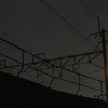 深夜の信号