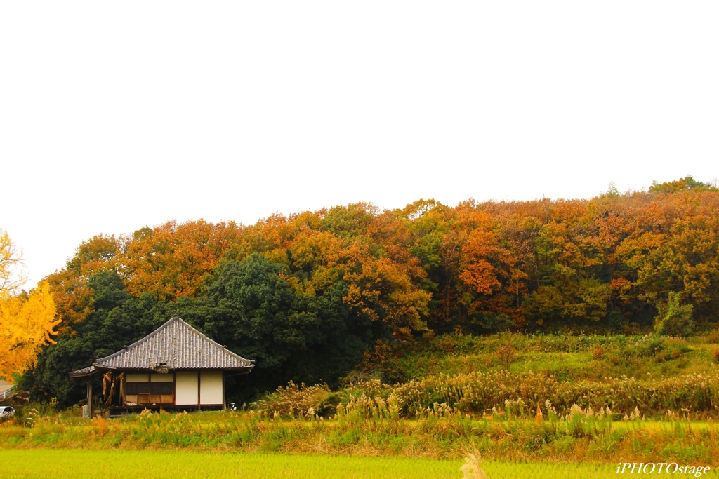 秋の風景