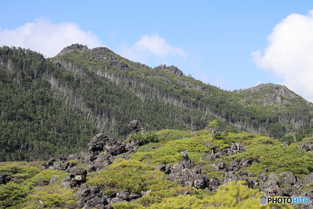 縞枯山