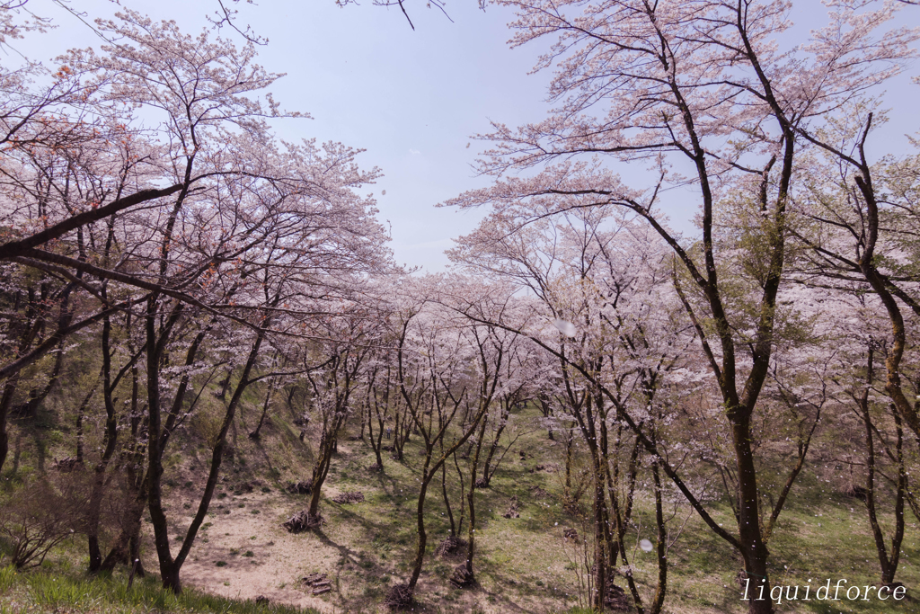 滝山城址