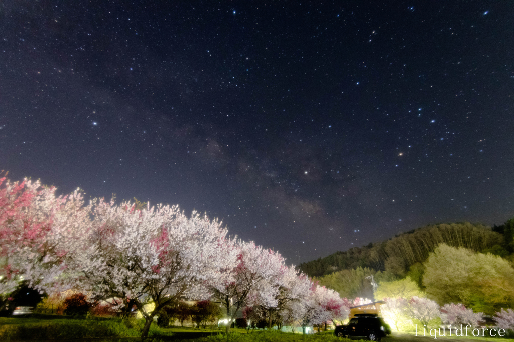 花桃と天の川