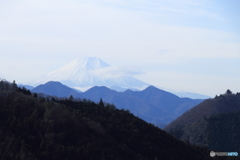 棡原からの富士