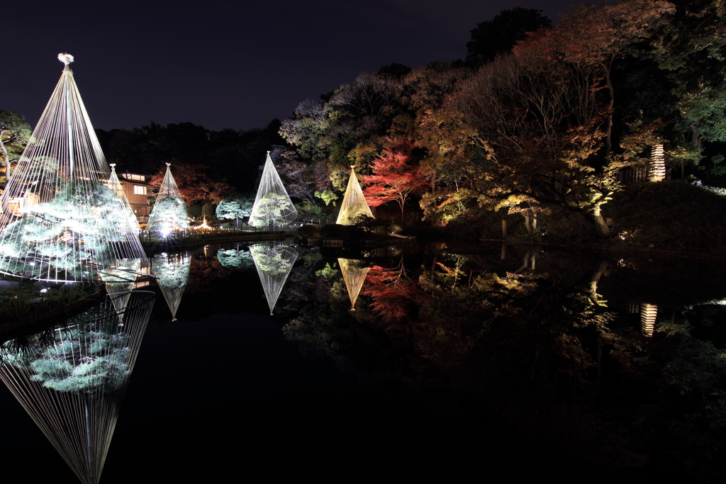 夜庭園