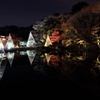 夜庭園