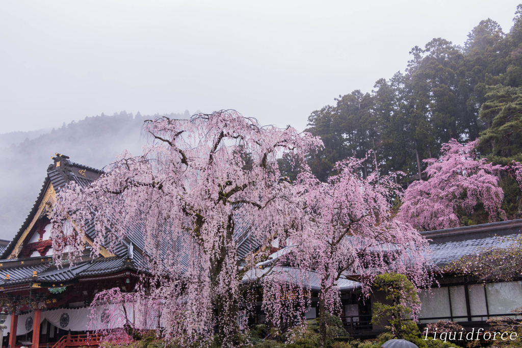 身延山久遠寺