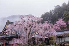 身延山久遠寺