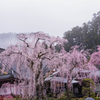 身延山久遠寺