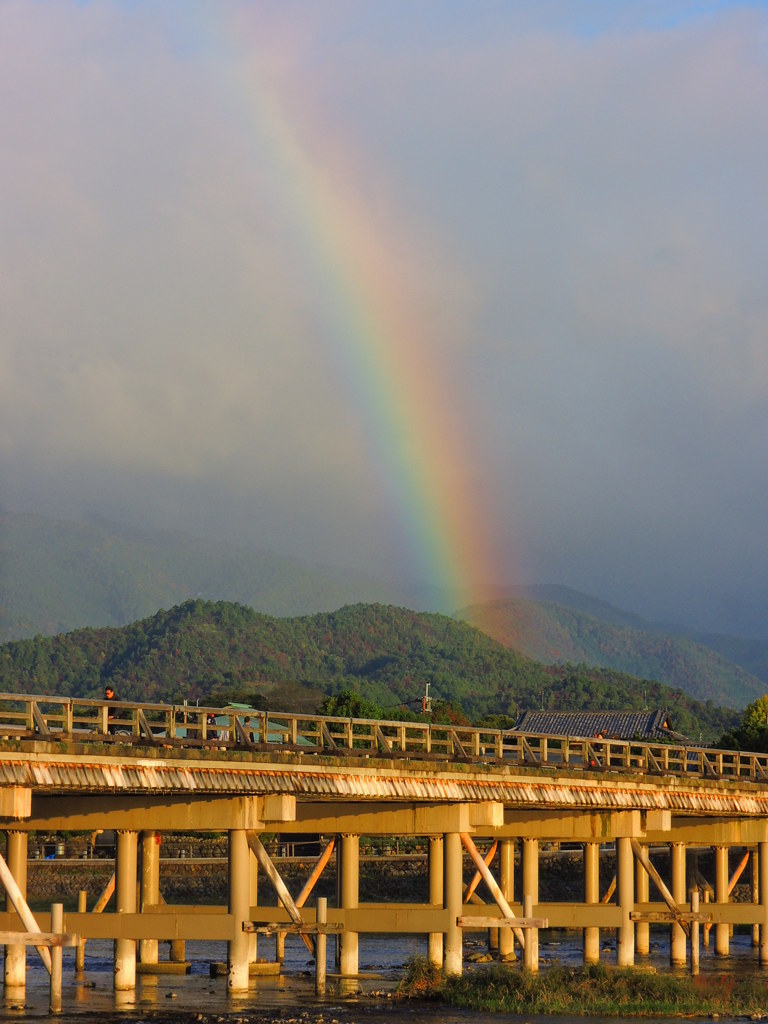 嵐山時雨の朝