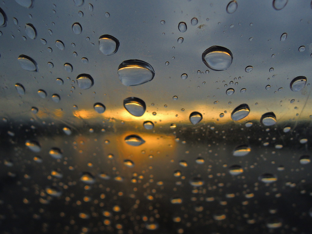 雨の朝