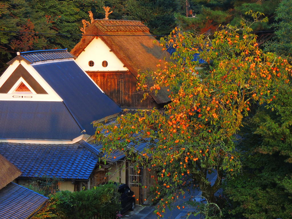 嵯峨鳥居本の朝