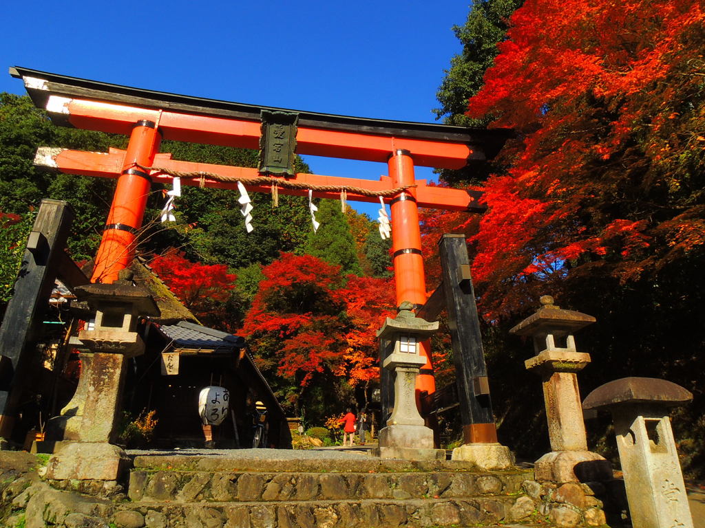 愛宕神社一の鳥居