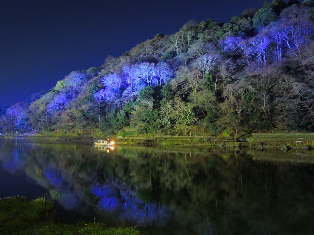 嵐山花灯路