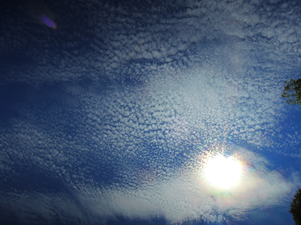 鰯雲