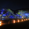 嵐山花灯籠２０１６