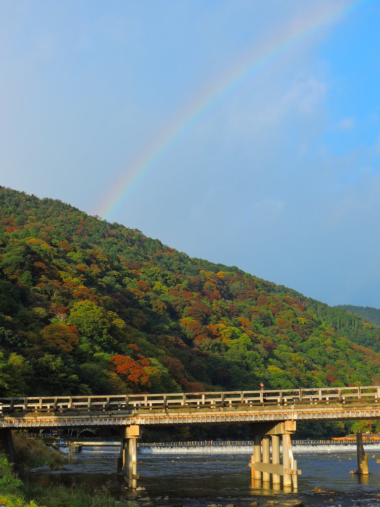 紅葉と虹と渡月橋